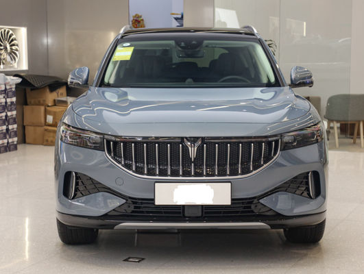 Pure Electric VOYAH Free 2021 Two Drive Middle Large EV SUV NEDC 505km